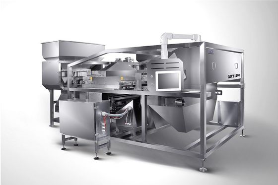 어 소트 바다는 색깔 분류하는 사람, 채널 유형 소금 분류 기계를 소금을 칩니다